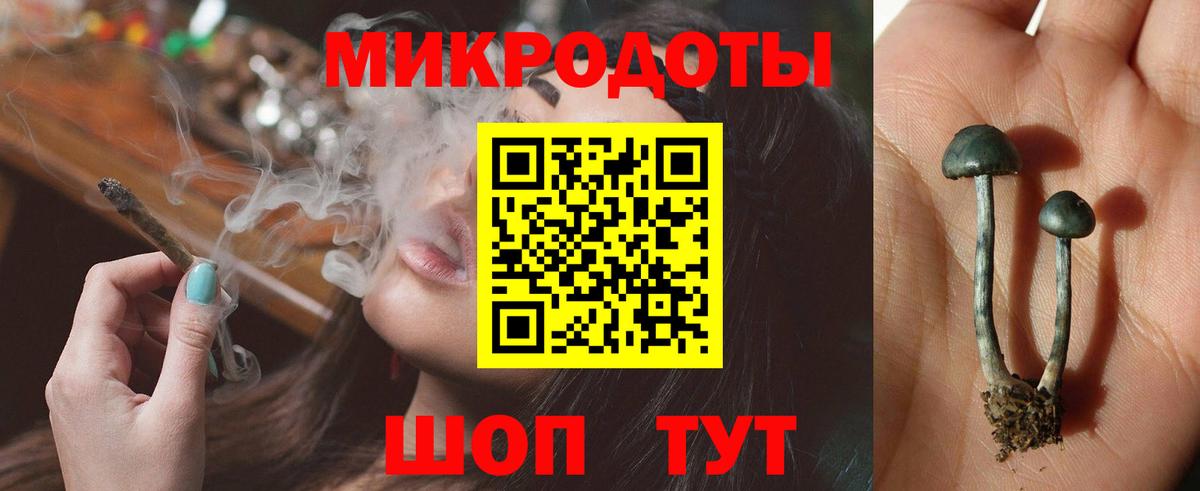 Псилоцибиновые грибы мухоморы Махачкала
