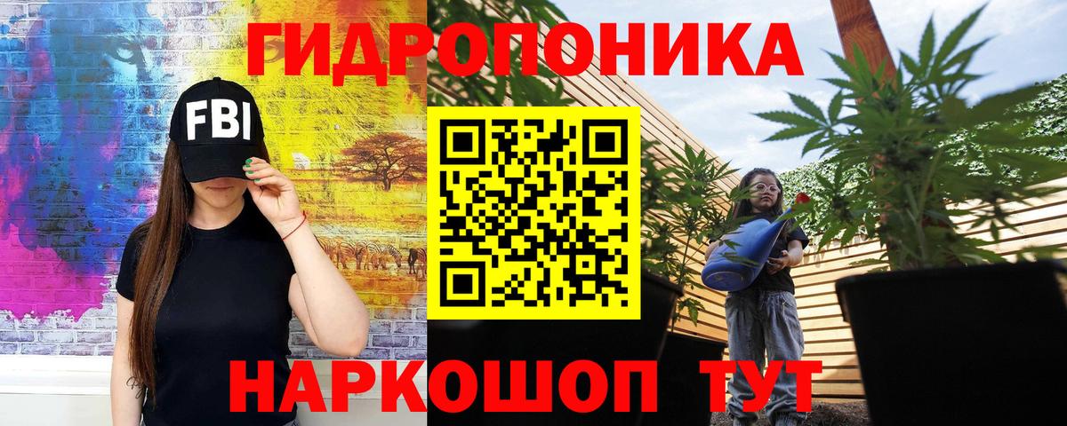 Шишки марихуана Ganja  Вход с VPN  МАРИХУАНА конопля  МАРИХУАНА план  Махачкала  Конопля OG Kush 